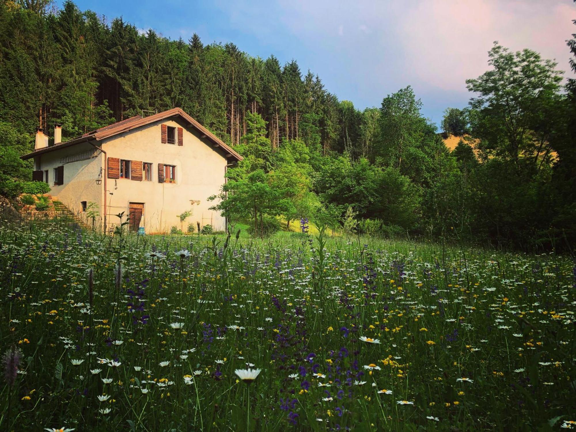 Alla Casetta B&B Cesiomaggiore Exterior photo